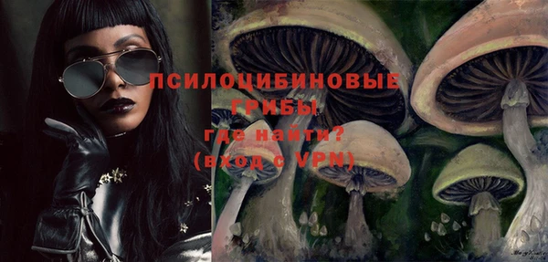 дживик Алзамай