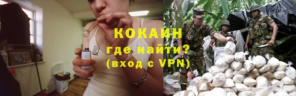 стафф Алексин