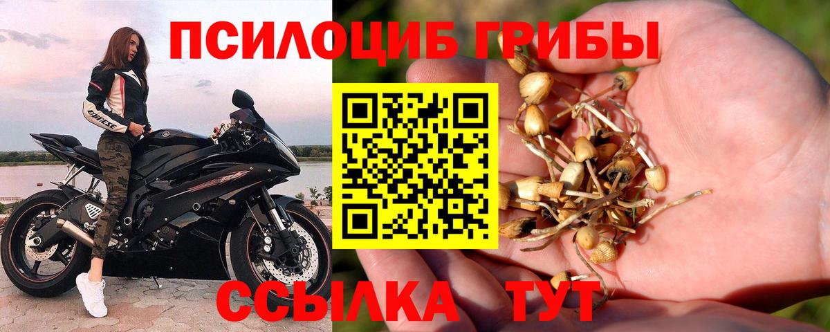 Галлюциногенные грибы мухоморы  Вход с VPN  магазин  наркотиков  Донской 