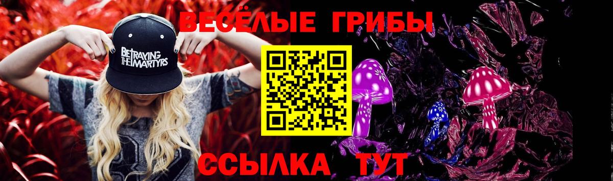 Псилоцибиновые грибы мицелий Донской